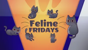 Inaugural ‘Feline Friday’