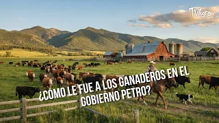 How Did Cattle Ranchers Fare Under the Petro Administration? 🚜🥩- TvAgro by Juan Gonzalo Angel