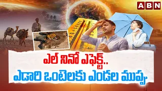 ABN OFFBEAT : ఎల్‌ నినో ఎఫెక్ట్‌.. ఎడారి ఒంటెలకు ఎండల ముప్పు | Climate Crisis in Ethiopia | ABN