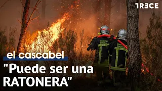 "There is a way to do things right that is cheaper," Paco Castañares on the wildfires