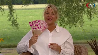 Studio Direkte 16.07.2026 - Sommer på gjestegården