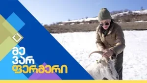 თხის მეურნეობა სურამში | მე ვარ ფერმერი | 03.02.2026