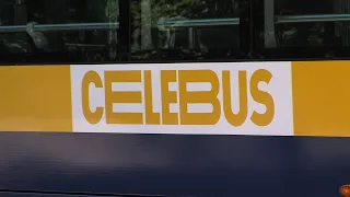 DOGODKI DNEVA 4.8.2026  - Nov vozni red Celebusa, 10 let Fontane piv Zeleno zlato