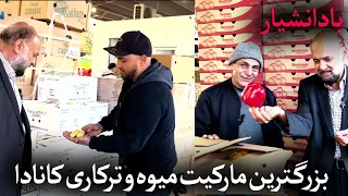 با دانشیار- قسمت پنجم