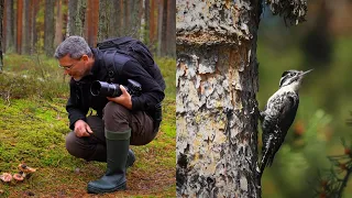 Čepkelių pelkėje apsilankęs Čepulis: „Čia galima ir prigerti, į liūną įlipus“