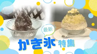 [Sapporo Shaved Ice] From an absolute steal at 280 yen for a retro ice, to next-gen parfait ice t...