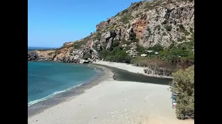 Φοινικόδασος Πρέβελης: Αυτοψία μετά τις φλόγες – Οι πρώτες εικόνες από την καταστροφή