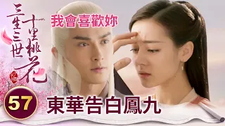 終於承認！小狐狸苦追多年 總算等來了高冷帝君一句：「我會喜歡你。」【三生三世十里桃花】精華 EP57-3 楊冪、趙又廷、迪麗熱巴、高偉光、張智堯 @ctvdrama_classic