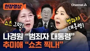 "이재명 대통령은 범죄자 대통령, 틀린 말인가"…법사위 '추나대전' [현장영상] / 채널A