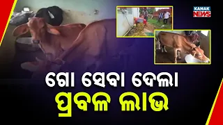 Bazaar Halchaal: Cow Farming Success in India | Youth Earns Big from 65 Litres Milk Daily