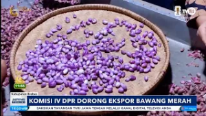 Komisi IV Dorong Ekspor Bawang Merah