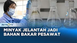 China Ubah Minyak Jelantah Jadi Bahan Bakar Pesawat Ramah Lingkungan