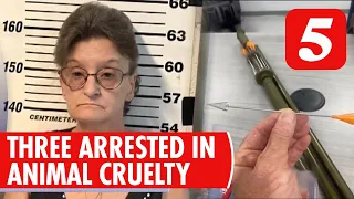 Three Arrested for Killing Dozens of Cats with Dart Gun in Tennessee