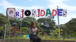 Qriosidades: Situationships