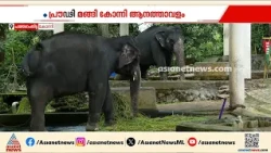 ആനത്താവളത്തിൽ കൊമ്പന്മാർ ഇല്ല; കോന്നി ആനക്കൂടിന്റെ തലയെടുപ്പ് താഴ്ന്നു