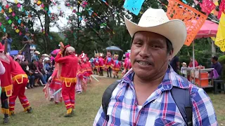 Fiesta patronal de Tlacolulan