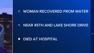 Woman dead after being pulled from Lake Michigan on South Side, Chicago police say