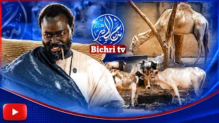 Waccayu Grand Magal de Touba 2026-1448h Interview with Serigne Moustapha Fall Abdou Sakor