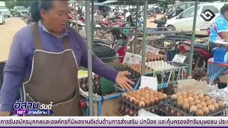 ราคาไข่ในจังหวัดชัยภูมิ ยังไม่ปรับขึ้นราคา | อีสานวันนี้ 14 สิงหาคม 2569