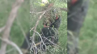 Bomberos rescatan a joven atrapado en canal de riego con fango y lirio