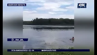 Крики тонувшего в Иртыше школьника услышали трое парней