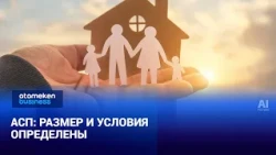 Targeted Social Assistance: Amount and Eligibility Criteria Defined