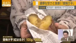 J-Chan's Top Pick 10/23/26