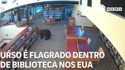 Bear caught on camera inside a library in the United States