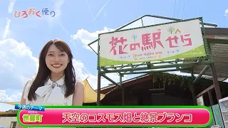 Episode 514: Hiro-Oku News - Sera Town: A Breathtaking View Across the Mountain Summit! A Cosmos ...