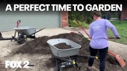 Gardening in the fall and greening a Detroit nonprofit