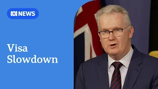 Govt confirms slowdown in approval of working holiday visas | ABC NEWS