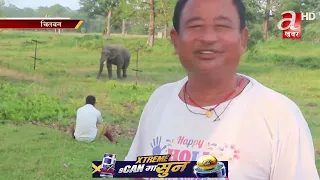 खोरसोरस्थित हात्ती प्रजनन तथा तालिम केन्द्रमा पर्यटकको ओइरो