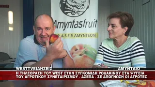 Η ΤΗΛΕΟΡΑΣΗ ΤΟΥ WEST ΣΤΗΝ ΣΥΓΚΟΜΙΔΗ ΡΟΔΑΚΙΝΟΥ ΣΤΑ ΨΥΓΕΙΑ ΤΟΥ ΑΣΕΠΑ ΑΜΥΝΤΑΙΟΥ  ΣΕ ΑΠΟΓΝΩΣΗ ΟΙ ΑΓΡΟΤΕΣ
