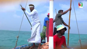 Dhan'gethee Meehunge Athulivaru - Mivaguthu