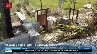 27 HECTARES OF RICE FIELDS THREATENED WITH CROP FAILURE