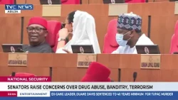 Senators Raise Concerns Over Drug Abuse, Banditry, Terrorism