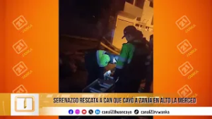 Serenazgo rescata a perrito que cayó a zanja en Alto La Merced