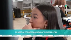 Professional Skills Assessment