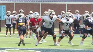 Har-Ber Wildcats | Football Friday Night preview