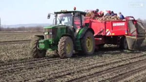 Производство сельскохозяйственной продукции в Приморье по итогам 2025 года достигло 91,8 млрд рублей