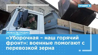 How is the harvest going in the Grodno region?