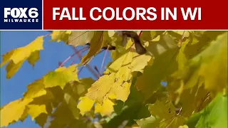 Wisconsin fall colors outlook for 2026 | FOX6 News Milwaukee