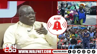 "RED ALERT ON OUR STREETS!" 🚨: Pape Sané compares aggressive begging to the Kulunas of Congo! 🇸🇳
