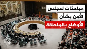 مجلس الأمن الدولي يبحث التطورات في المنطقة وقطاع غزة عشية ترؤس ترمب أول اجتماع لمجلس السلام