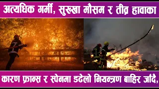 अत्यधिक गर्मी, सुख्खा मौसम र तीव्र हावाका कारण फ्रान्स र स्पेनमा डढेलो नियन्त्रण बाहिर जाँदै |