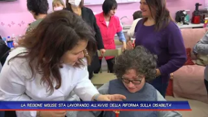 TLT NEWS EDIZIONE SERALE DEL 13 02 26