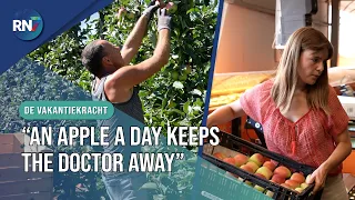 Picking apples at Fruit Farm Berben || THE SUMMER TEMP #04