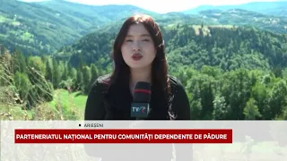 PARTENERIATUL NAȚIONAL PENTRU COMUNITĂȚI DEPENDENTE DE PĂDURE