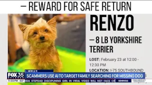 AI scammers target Michigan family searching for missing Yorkie