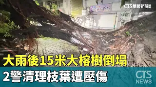 大雨後15米大榕樹倒塌　2警清理枝葉遭壓傷｜華視新聞 20260820 @CtsTw